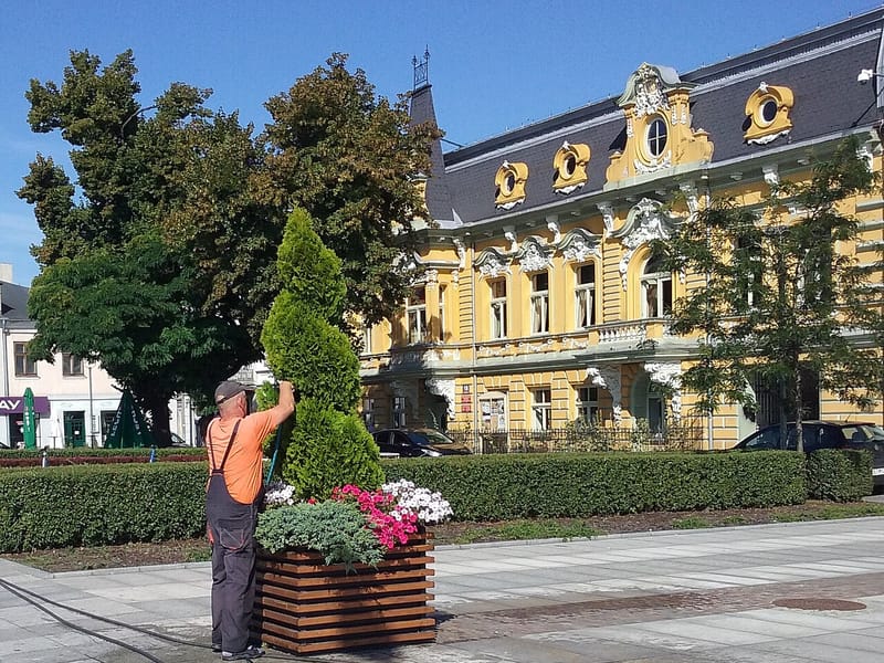 Al Turki Landscaping Services