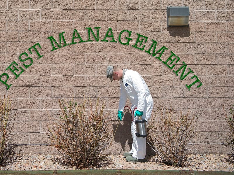 Al Hosn Pest Control Services LLC